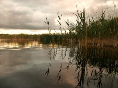 image041