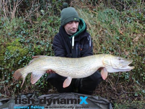 17.2lbs pike