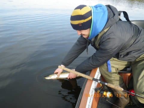 Fishmaniak - March Winter League 9