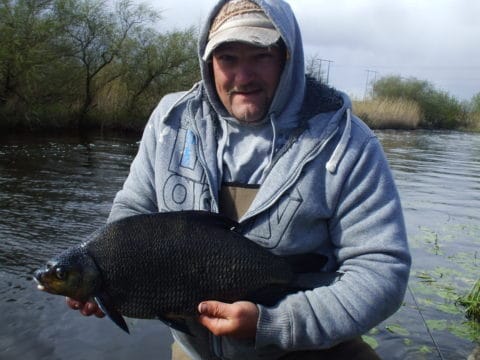 Andy Burnett from Elphin 7lb 1oz Bream from an estimated net of 90-100lbs Caught on the bush swim