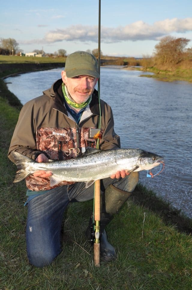 Stephen Prendiville