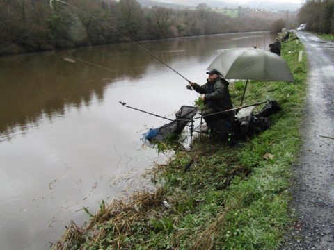 Waterford & District CAC - Waterways Ireland 2016 Open pic 6