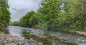Low water conditions continue on the Bandon River Bandon