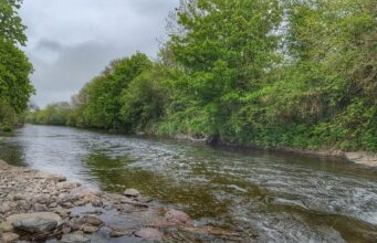 River Bandon
