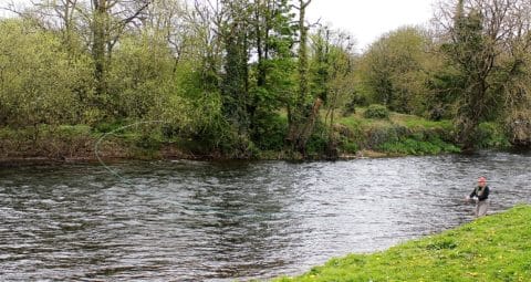 Cathy Williams from the USA in Action Yesterday on the Blackwater Salmon Fishery