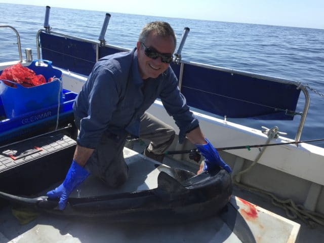 Our second 'Catch of the Week' winner is Skipper David Edwards with a very early blue shark