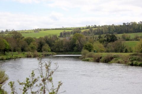 The Majestic River Blackwater Yesterday at Kilmurry.
