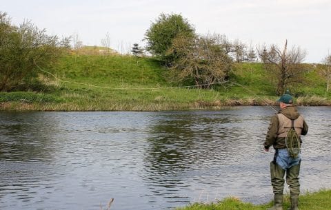 Peter Cunning Fishing the Boyne Yesterday Overlooked by Bru na Boinne.