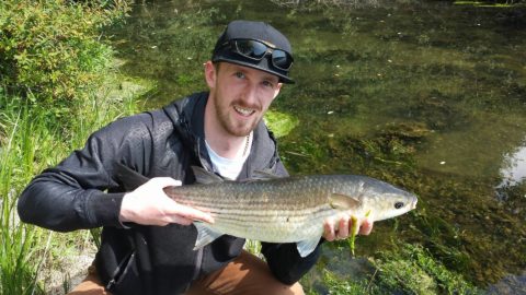 A super 26inch (66cm) mullet caught by Stephen O'Brien