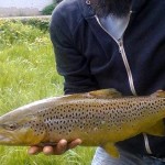 Barrow trout
