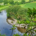 Bandon River