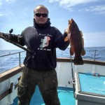 Ballan Wrasse
