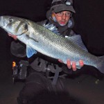 Some nice fish about