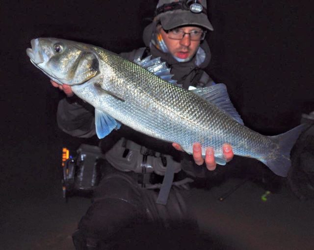 Some nice fish about