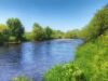 Good double figure salmon reported from the Bandon River Bandon