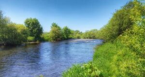 Good double figure salmon reported from the Bandon River Bandon