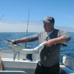 Blue shark pup