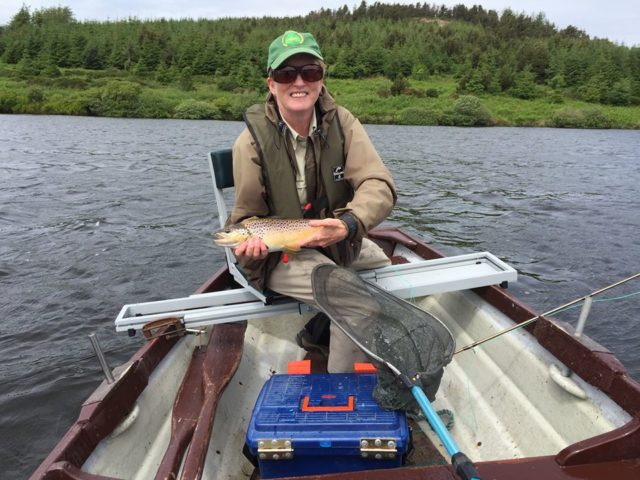 Brown trout