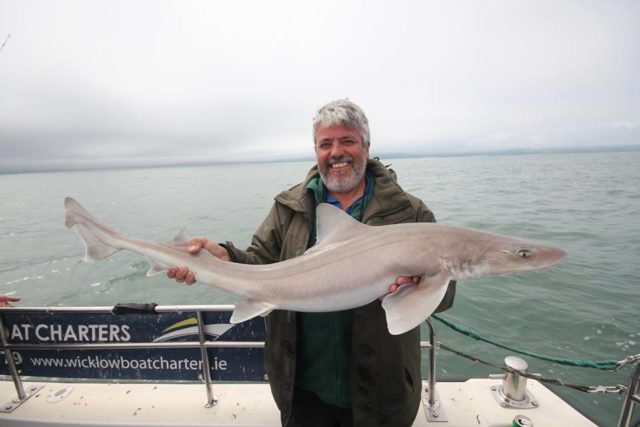16lb Specimen for Brian Cooke, his 3rd Specimen hound 2016. 16lb Specimen for Brian Cooke, his 3rd Specimen hound 2016.