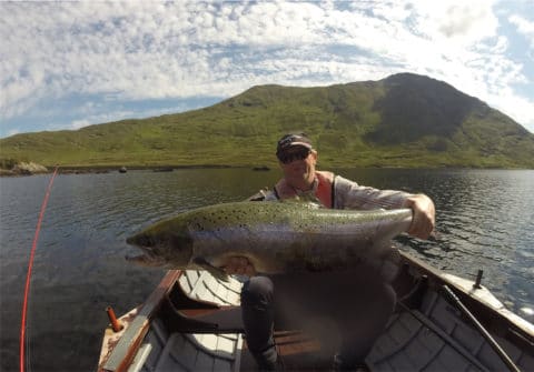 20lb salmon Delphi