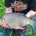 Bream