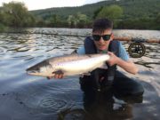 20lb salmon on the river Suir Great fish for James Byrne