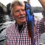 Cuckoo-Wrasse
