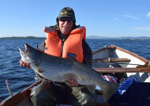 17lb trout