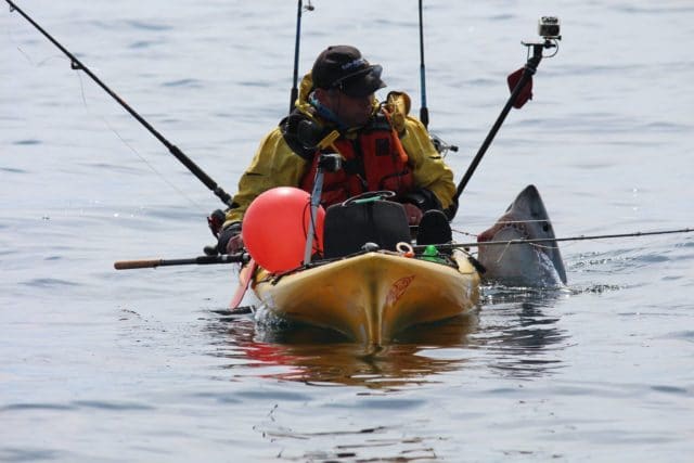 Graham Smith with super porbeagle shark Photo: Martin Maloney