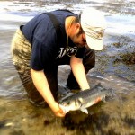Jason O Riordan – Releasing bass
