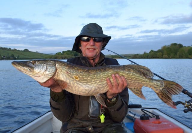A Pike of 1.01m from Lough Muckno