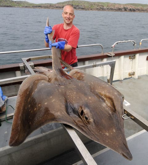 132 Pound male Common Skate