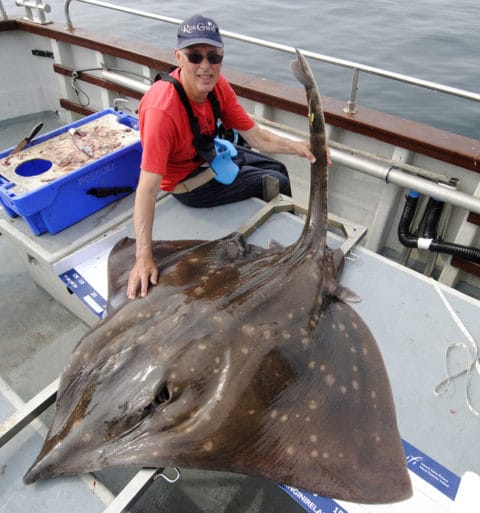 185lb skate