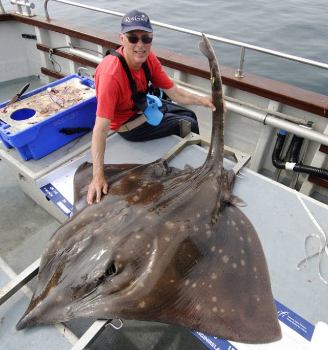 185lb skate