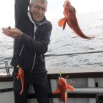 Rosguill – Red-Gurnards