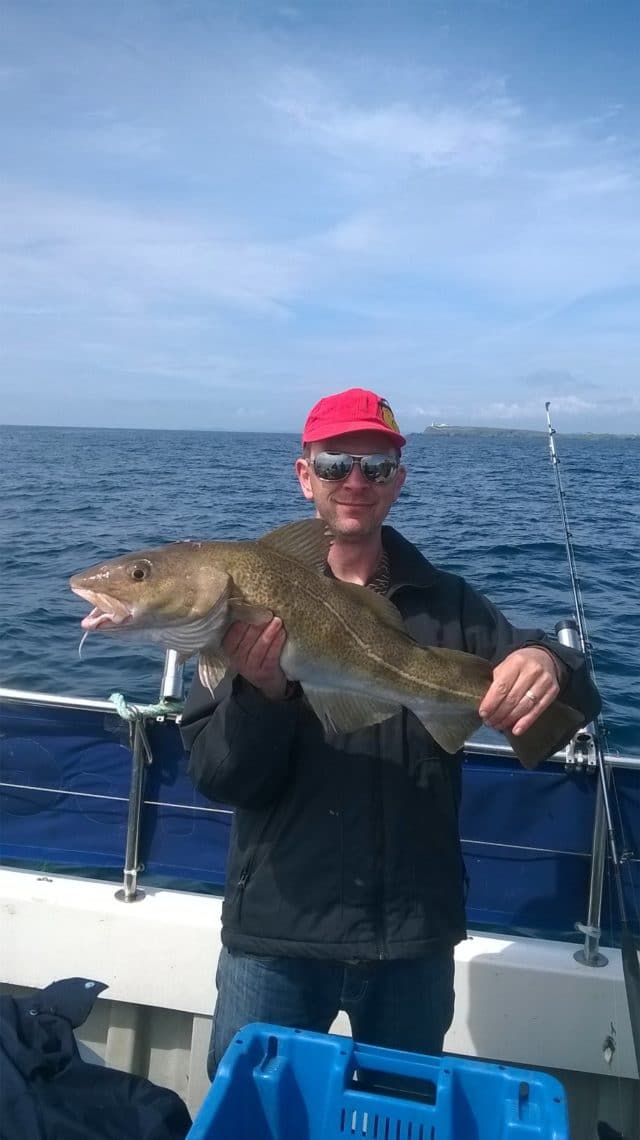 Cod to 10.5lb have been caught