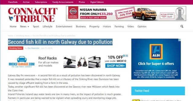 Second fish kill in north Galway due to pollution