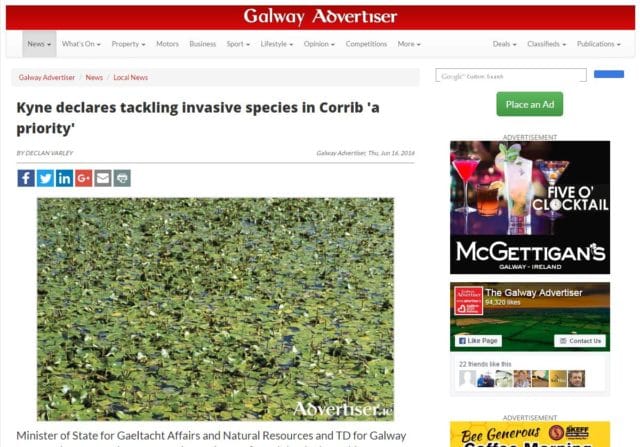 Kyne declares tackling invasive species in Corrib 'a priority'