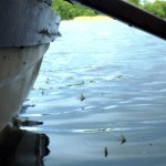 image014