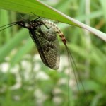 image049