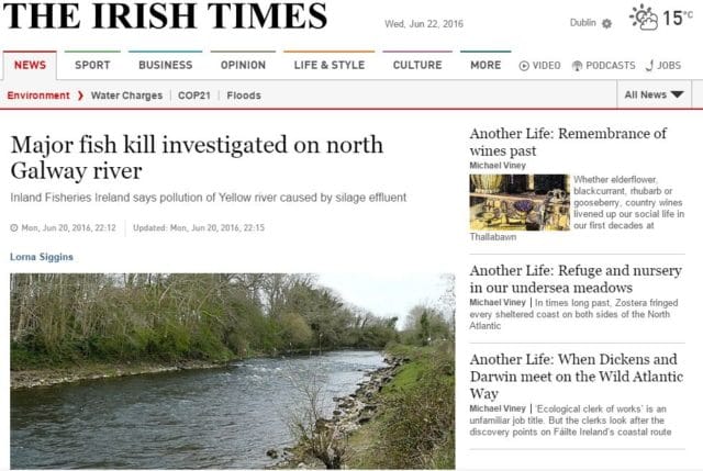 Major fish kill investigated on north Galway river