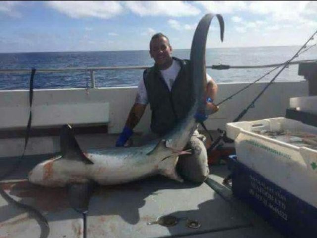 A thresher shark for Ger Murphy of Sea Breeze III