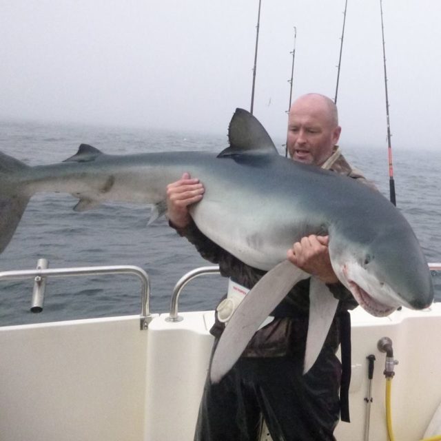 Daniel O'Kelly with his 111lb blue shark