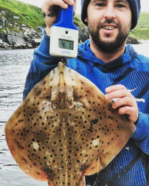 Spotted ray