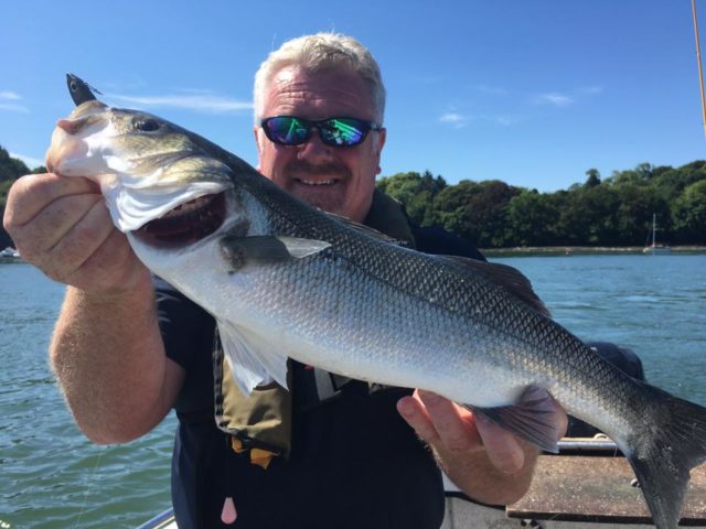 bass, Cobh