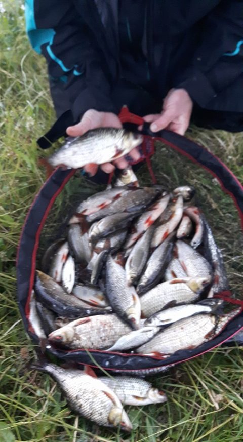 A good net of fish from the Barrow