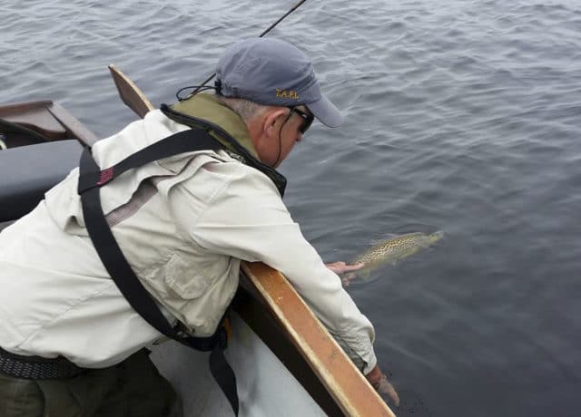 Campbell Baird releasing a nice trout back to Corrib, July 2016