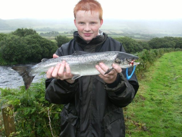 Master Shay McCarthy