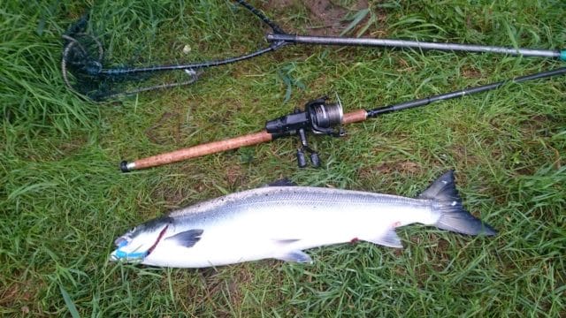 Patrick Richard managed to meet four fish from Friday to Sunday. Landed this beauty of 12 lbs at Rock Pool on Saturday.