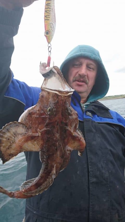 Angler fish
